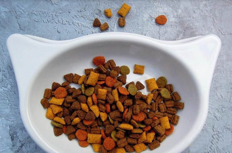 怡亲猫粮是正规品牌吗