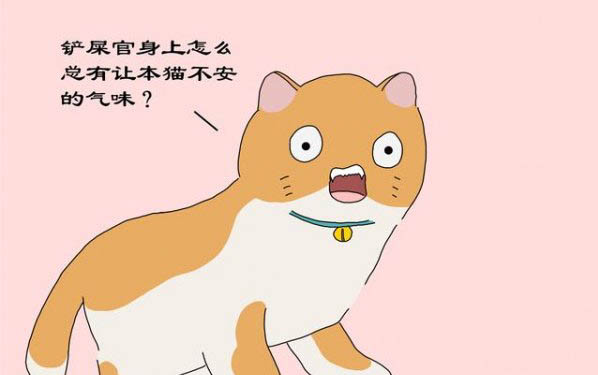 刚出刚出生的小猫吃什么