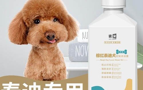 狗狗换了新环境不拉不尿怎么办