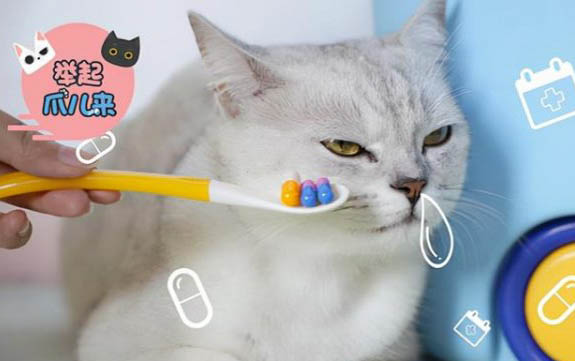 小猫总是要睡觉是怎么回事