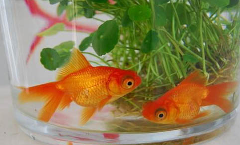 天气热好钓鱼吗