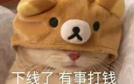 小猫肛门红肿