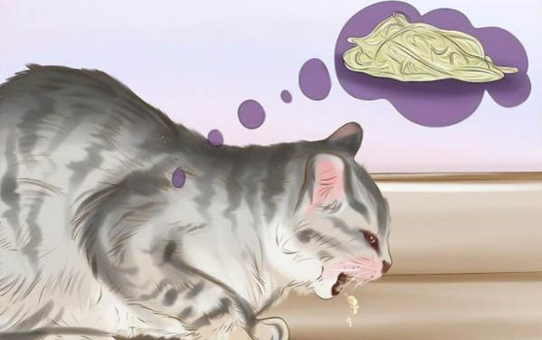 猫有黄色眼屎是什么原因?如何处理以及注意事项是什么?