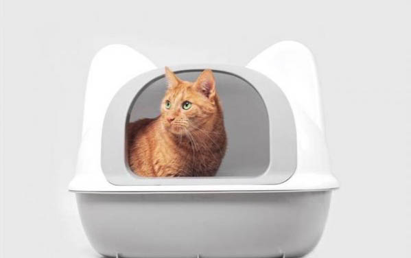 速诺片对猫副作用