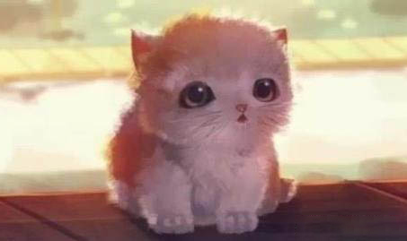 猫下崽子用不用管