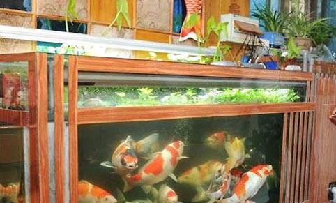 水库野钓鲤鱼最佳调漂法