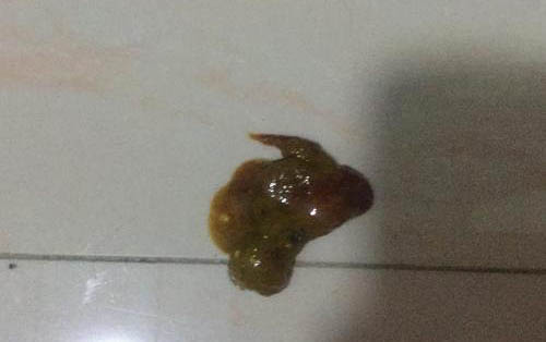 刚出生的小狗能饿多久啊